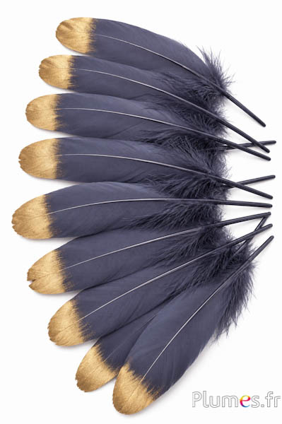 Gans met gold punt - 15-21 cm - antraciet